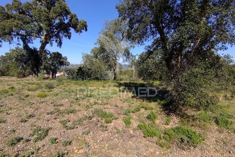 Terra a Constancia, Santarem, Constancia - € 13.500 | Ref: 058518 - foto 4