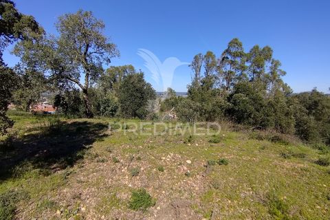 Terra a Constancia, Santarem, Constancia - € 13.500 | Ref: 058518 - foto 5