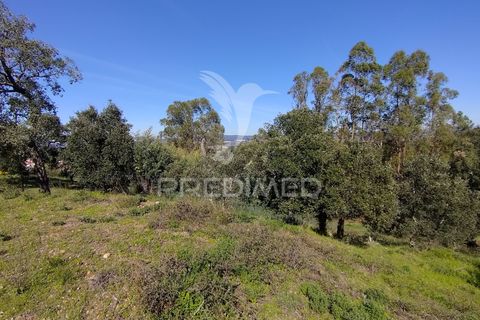 Terra a Constancia, Santarem, Constancia - € 13.500 | Ref: 058518 - foto 7