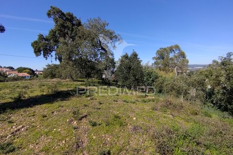 Terra a Constancia, Santarem, Constancia - € 13.500 | Ref: 058518 - foto 8