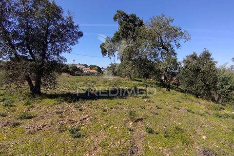 Terra a Constancia, Santarem, Constancia - € 13.500 | Ref: 058518 - foto 9