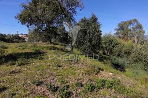 Terra a Constancia, Santarem, Constancia - € 13.500 | Ref: 058518 - foto 10