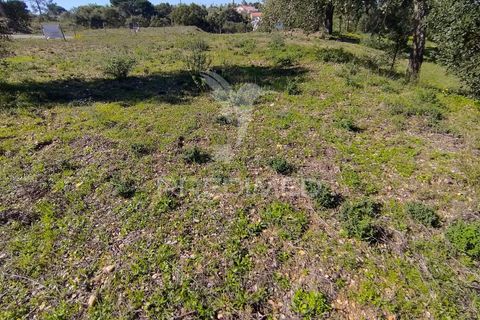 Terra a Constancia, Santarem, Constancia - € 13.500 | Ref: 058518 - foto 11
