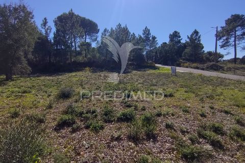 Terra a Constancia, Santarem, Constancia - € 13.500 | Ref: 058518 - foto 14