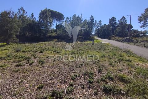 Terra a Constancia, Santarem, Constancia - € 13.500 | Ref: 058518 - foto 15