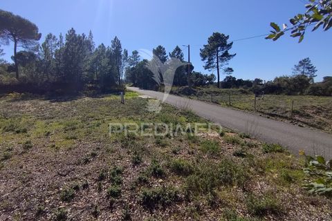 Terra a Constancia, Santarem, Constancia - € 13.500 | Ref: 058518 - foto 16