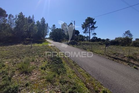 Terra a Constancia, Santarem, Constancia - € 13.500 | Ref: 058518 - foto 17
