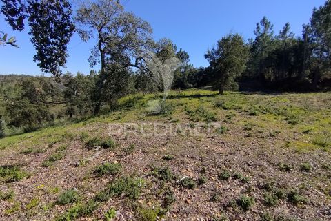 Terra a Constancia, Santarem, Constancia - € 13.500 | Ref: 058518 - foto 18