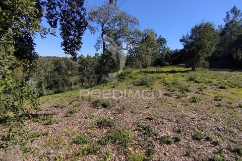 Terra a Constancia, Santarem, Constancia - € 13.500 | Ref: 058518 - foto 19