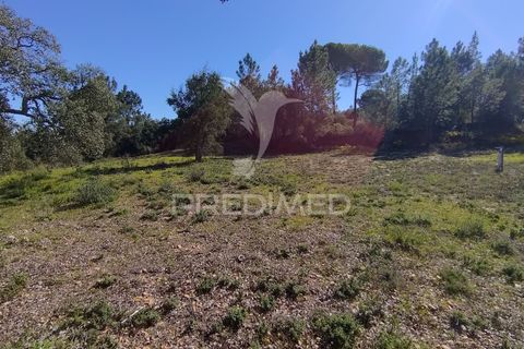 Terra a Constancia, Santarem, Constancia - € 13.500 | Ref: 058518 - foto 20