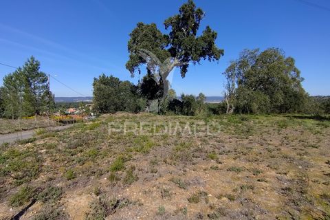 Terra a Constancia, Santarem, Constancia - € 13.500 | Ref: 058518 - foto 21