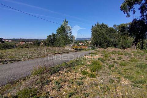 Terra a Constancia, Santarem, Constancia - € 13.500 | Ref: 058518 - foto 22