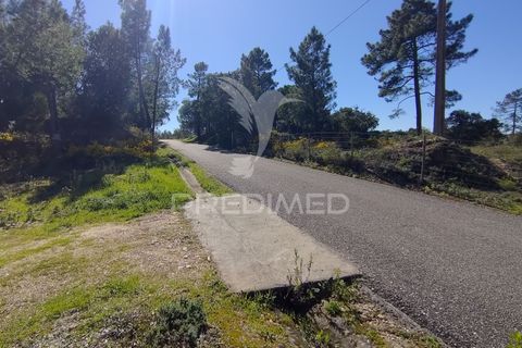 Terra a Constancia, Santarem, Constancia - € 13.500 | Ref: 058518 - foto 23