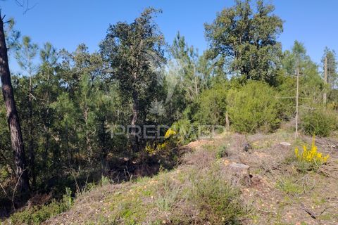 Terra a Constancia, Santarem, Constancia - € 13.500 | Ref: 058520 - foto 4