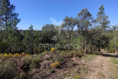 Terra a Constancia, Santarem, Constancia - € 13.500 | Ref: 058520 - foto 5