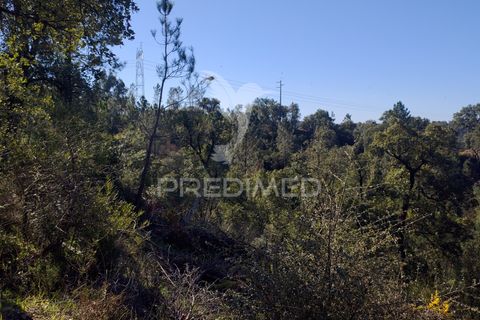 Terra a Constancia, Santarem, Constancia - € 13.500 | Ref: 058520 - foto 7
