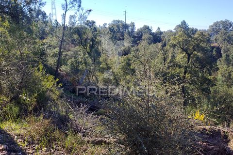 Terra a Constancia, Santarem, Constancia - € 13.500 | Ref: 058520 - foto 8