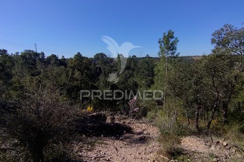 Terra a Constancia, Santarem, Constancia - € 13.500 | Ref: 058520 - foto 9
