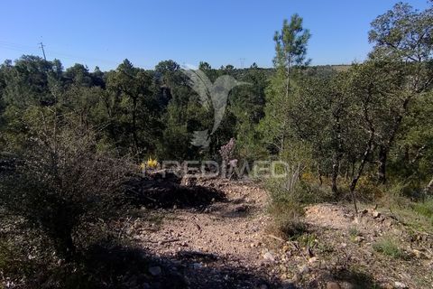 Terra a Constancia, Santarem, Constancia - € 13.500 | Ref: 058520 - foto 10
