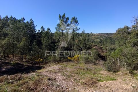 Terra a Constancia, Santarem, Constancia - € 13.500 | Ref: 058520 - foto 15
