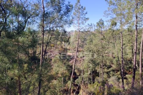 Terra a Constancia, Santarem, Constancia - € 13.500 | Ref: 058520 - foto 17