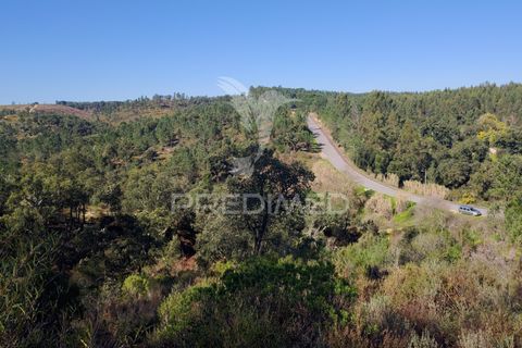 Terra a Constancia, Santarem, Constancia - € 13.500 | Ref: 058520 - foto 21