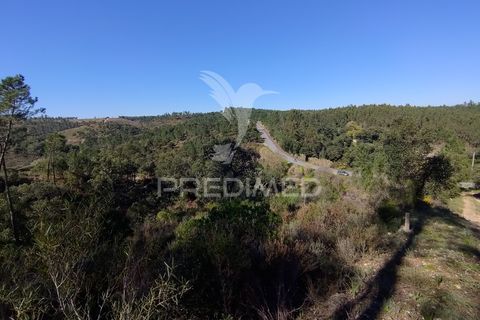 Terra a Constancia, Santarem, Constancia - € 13.500 | Ref: 058520 - foto 22