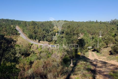 Terra a Constancia, Santarem, Constancia - € 13.500 | Ref: 058520 - foto 23