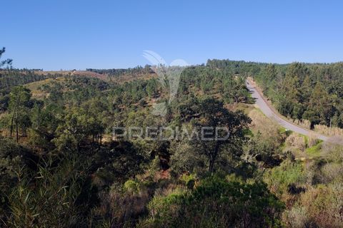 Terra a Constancia, Santarem, Constancia - € 13.500 | Ref: 058520 - foto 24