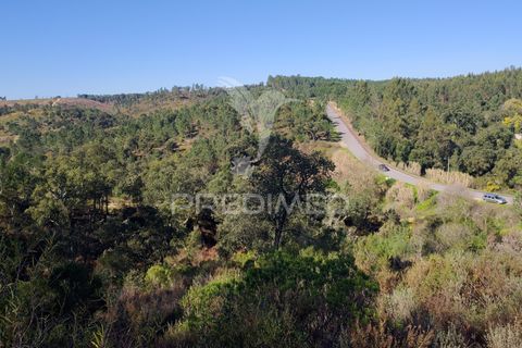 Terra a Constancia, Santarem, Constancia - € 13.500 | Ref: 058520 - foto 25
