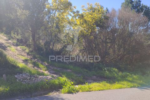Terra a Constancia, Santarem, Constancia - € 13.500 | Ref: 058520 - foto 26