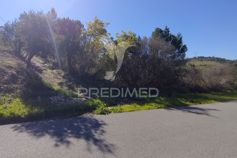Terra a Constancia, Santarem, Constancia - € 13.500 | Ref: 058520 - foto 27