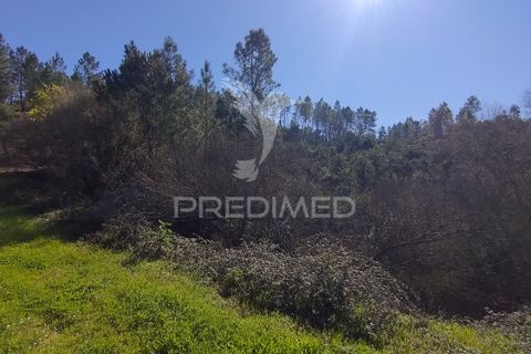 Terra a Constancia, Santarem, Constancia - € 13.500 | Ref: 058520 - foto 29