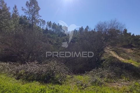 Terra a Constancia, Santarem, Constancia - € 13.500 | Ref: 058520 - foto 30
