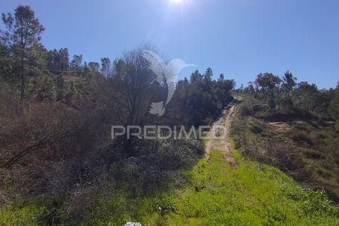 Terra a Constancia, Santarem, Constancia - € 13.500 | Ref: 058520 - foto 32