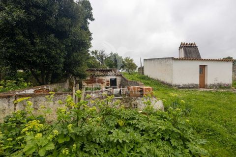 Byhus i Alandroal, Evora, Alandroal - € 250.000 | Ref: 058813 - foto 19