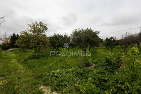 Byhus i Alandroal, Evora, Alandroal - € 250.000 | Ref: 058813 - foto 23
