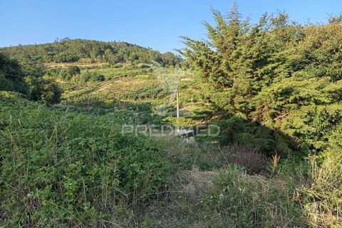 Byhus i Bombarral, Leiria, Bombarral - € 85.000 | Ref: 058966 - foto 3