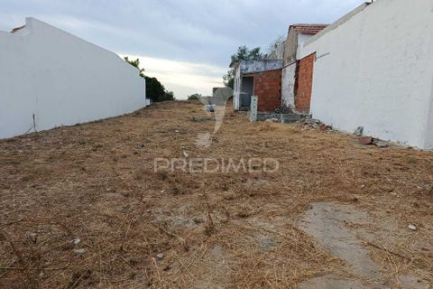 Helårsgrund i Alpiarca, Santarem, Alpiarca - € 40.000 | Ref: 059155 - foto 15