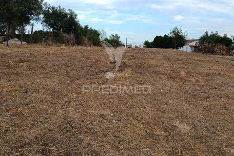 Helårsgrund i Alpiarca, Santarem, Alpiarca - € 40.000 | Ref: 059155 - foto 4