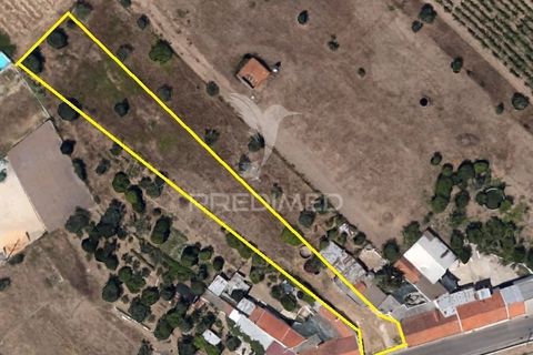 Helårsgrund i Alpiarca, Santarem, Alpiarca - € 40.000 | Ref: 059155 - foto 18