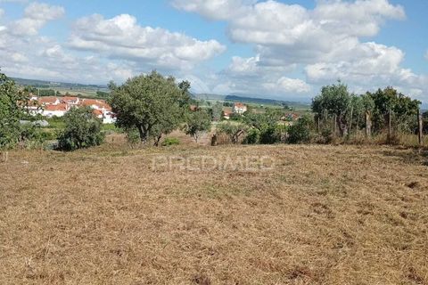 Helårsgrund i Alpiarca, Santarem, Alpiarca - € 40.000 | Ref: 059155 - foto 5
