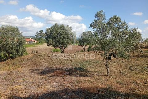 Helårsgrund i Alpiarca, Santarem, Alpiarca - € 40.000 | Ref: 059155 - foto 7