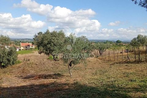 Helårsgrund i Alpiarca, Santarem, Alpiarca - € 40.000 | Ref: 059155 - foto 8