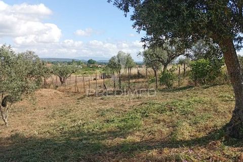 Helårsgrund i Alpiarca, Santarem, Alpiarca - € 40.000 | Ref: 059155 - foto 9