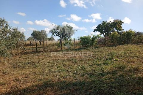 Helårsgrund i Alpiarca, Santarem, Alpiarca - € 40.000 | Ref: 059155 - foto 10