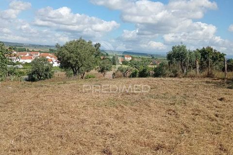 Helårsgrund i Alpiarca, Santarem, Alpiarca - € 40.000 | Ref: 059155 - foto 11