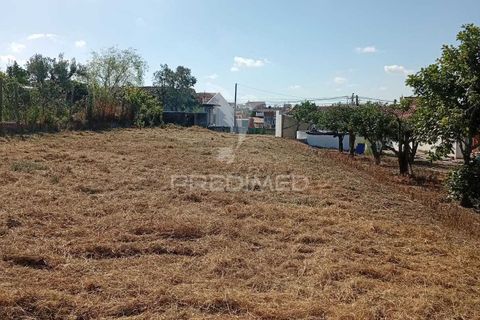 Helårsgrund i Alpiarca, Santarem, Alpiarca - € 40.000 | Ref: 059155 - foto 12