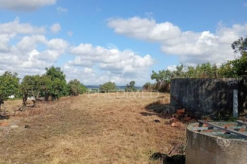 Helårsgrund i Alpiarca, Santarem, Alpiarca - € 40.000 | Ref: 059155 - foto 13