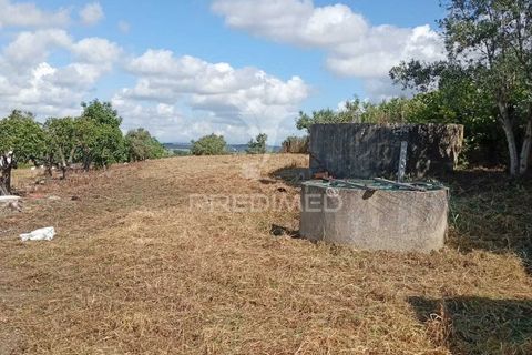 Helårsgrund i Alpiarca, Santarem, Alpiarca - € 40.000 | Ref: 059155 - foto 14